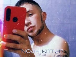 Noah_kitten