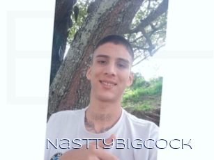 Nasttybigcock