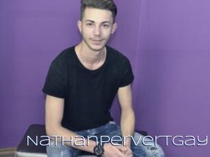 Nathanpervertgay