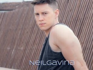 Neilgaviria