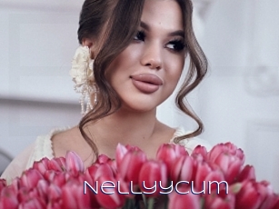 Nellyycum