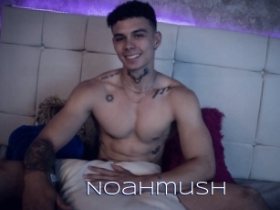 Noahmush