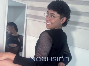 Noahsinn
