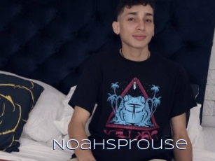 Noahsprouse