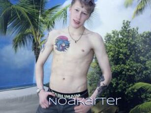 Noakarter