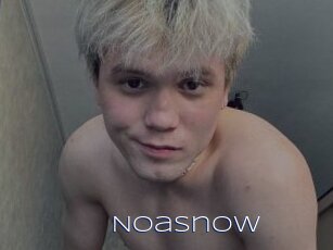 Noasnow