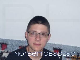 Norbertobadzso