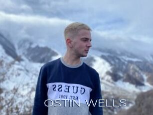 OSTIN_WELLS