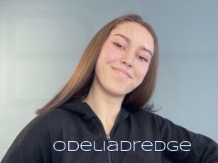 Odeliadredge