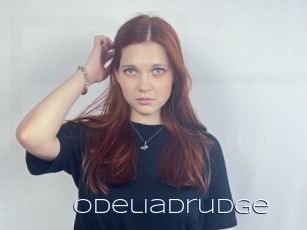 Odeliadrudge