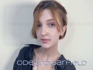 Odelinagarfield