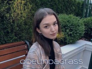 Odelindagrass