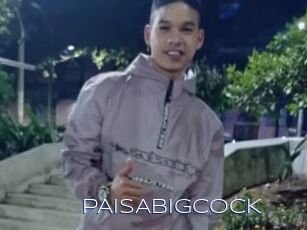 PAISABIGCOCK