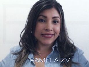 PAMELA_zv