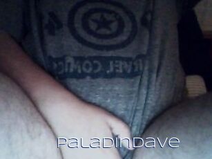 PaladinDave Blue Hot
