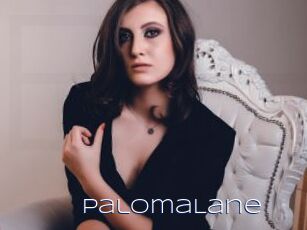 PalomaLane Blue Hot