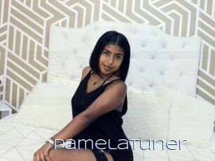 PamelaTuner