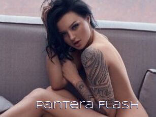 Pantera_Flash