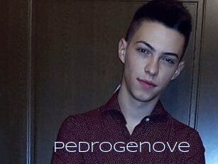Pedrogenove