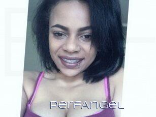 PerfAngel