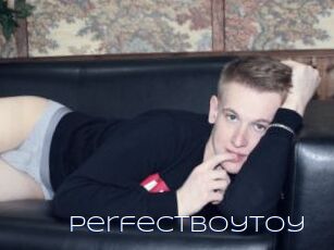 PerfectBoyToy
