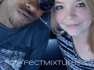 PerfectMixture3828