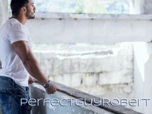 PerfectguyRobert