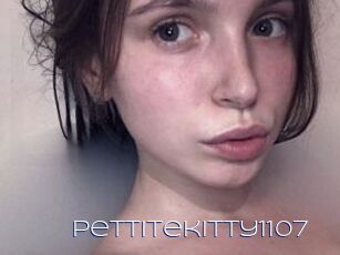 Pettitekitty1107