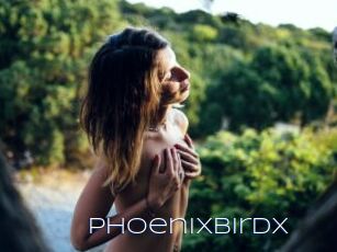 PhoenixBirdX