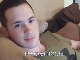 PhoenixMS