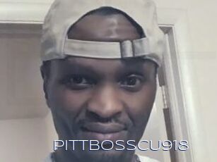 PittBossCU918