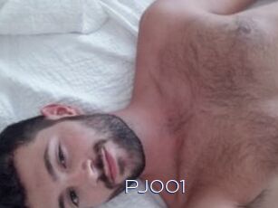 Pj001