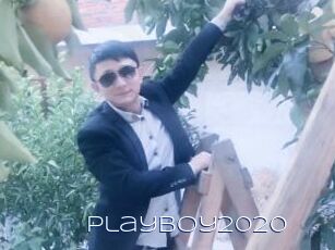 Playboy2020