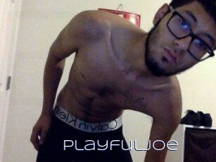 PlayfulJoe