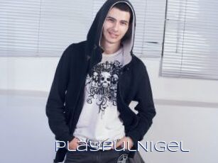 PlayfulNigel