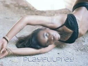 PlayfulPrey