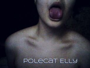 Polecat_Elly