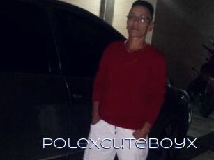 Polexcuteboyx