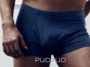 Pudpud