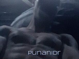 PunaniDr