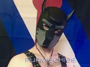 PupMischief
