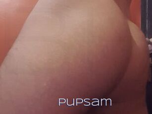 PupSam