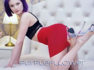 Purplefllower