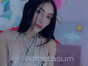 Pamelaslim