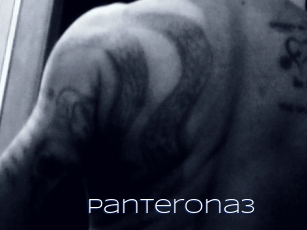 Panterona3