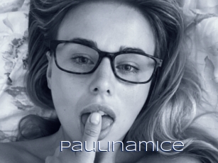Paulinamice