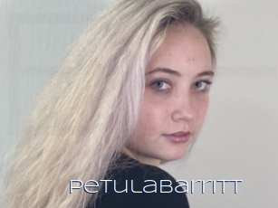Petulabarritt
