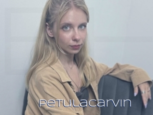 petulacarvin Blue Hot