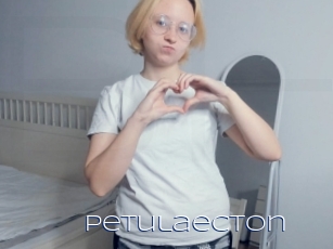 Petulaecton