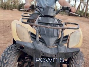Pewnis